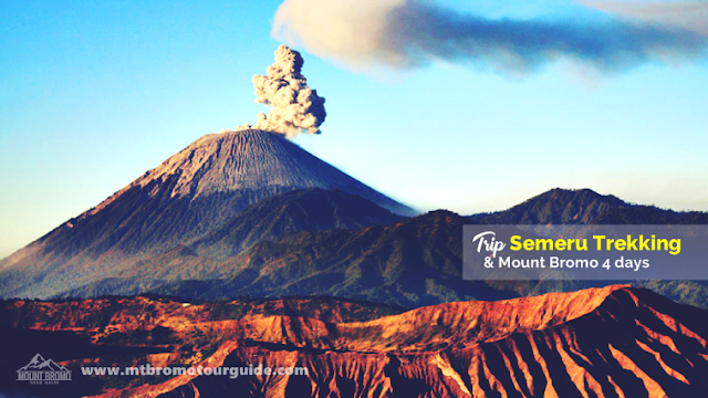 Trip Semeru Trekking and Mt Bromo 4 Days