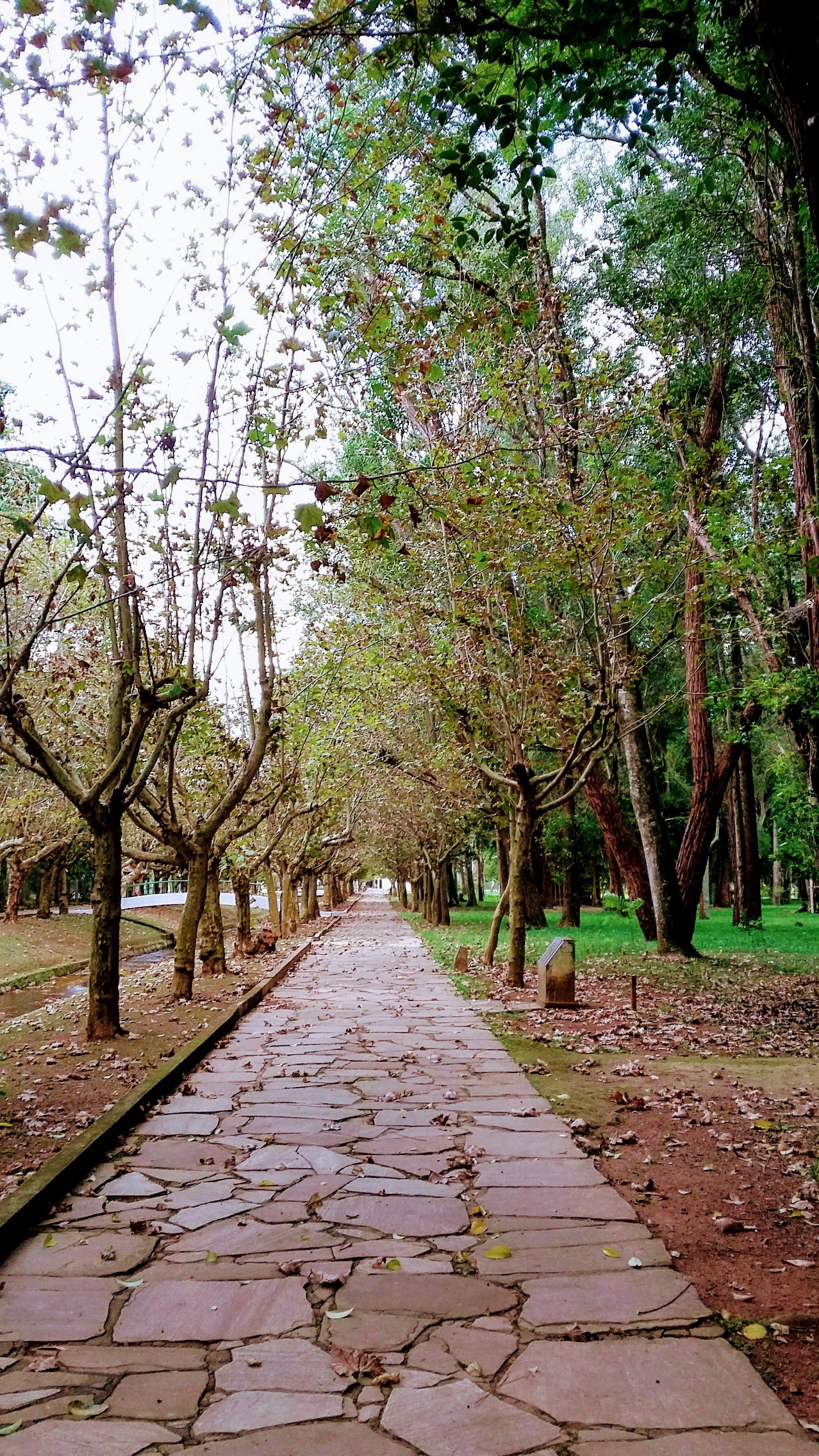 Parque das Águas de Caxambu - Estrada Real