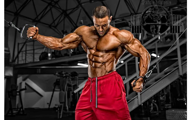 With These 7 Key Changes, You Can Lose Fat and Gain Muscle