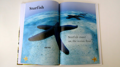 A page in the book Fishy Tales