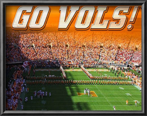 university-of-tennessee-neyland-stadium.jpg university-of-tennessee-neyland-stadium.jpg