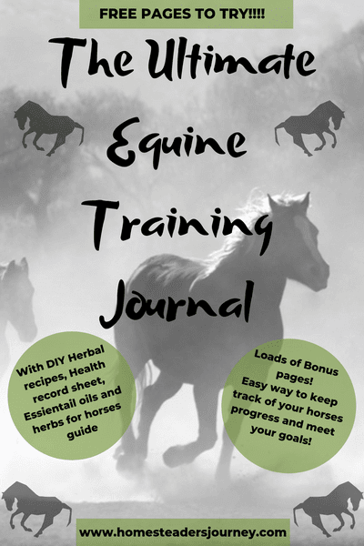 Training Horses with a plan! This journal helped me reach my goals with my horse last year and beyond! Get organized and make your dream horse trained the way you want a reality! If I can do it so can anyone!!! #traininghorses #horsetrainingjournal