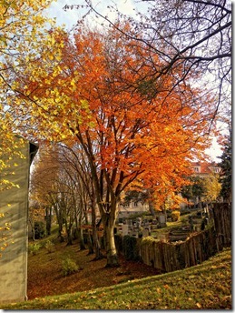 2012-11-10-484_re