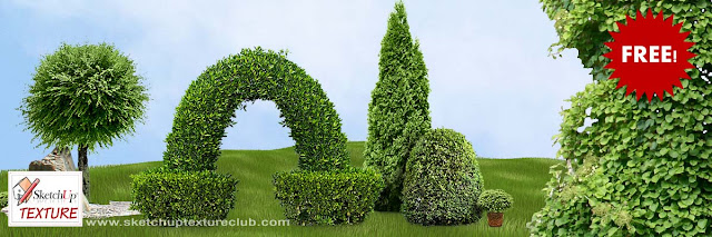  gratis mixed images of cutting out shrubs together with hedges FREE CUT OUT SHRUBS & HEDGES PNG COLLECTION PACK 4
