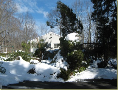 2. 26. 2010 snow 028