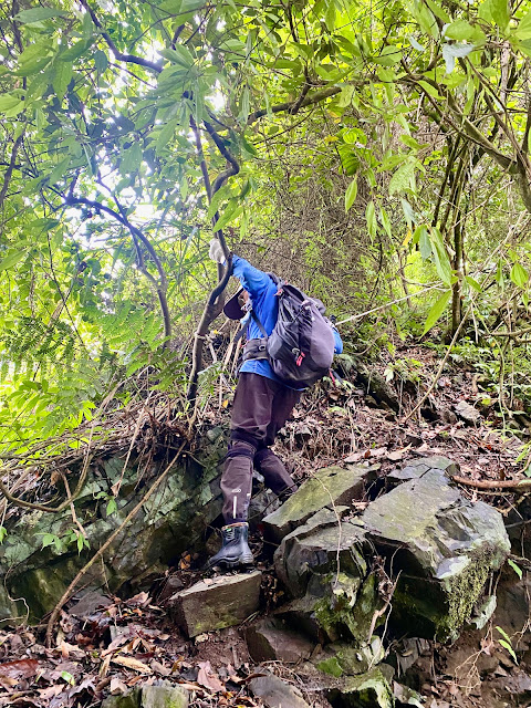 遠藤山東峰下山途中