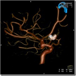 AMALBUDEHAISH29_F-SKMS_237020