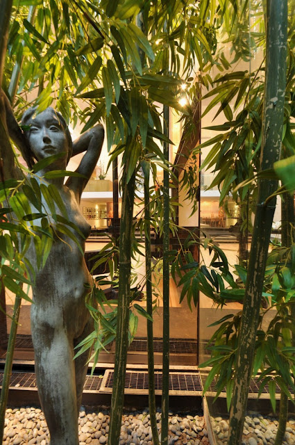 Photo of modern interiors as seen through bamboo in the backyard