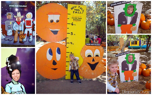 Irvine Ranch Pumpkin Patch 10-9-11