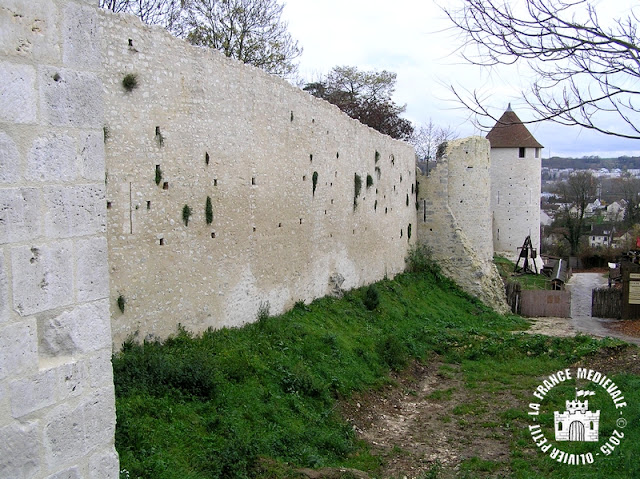 PROVINS (77) - Remparts médiévaux