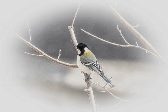20140309-IMG_9045
