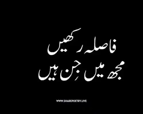 2 lines Urdu Funny Shayari