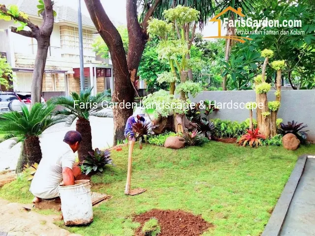 Tukang Taman Pasuruan Profesional - Jasa Pembuatan Taman di Pasuruan