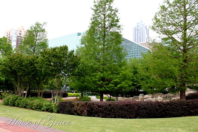 2011 04 22_3906