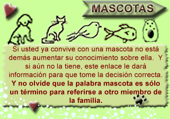 Mascotas