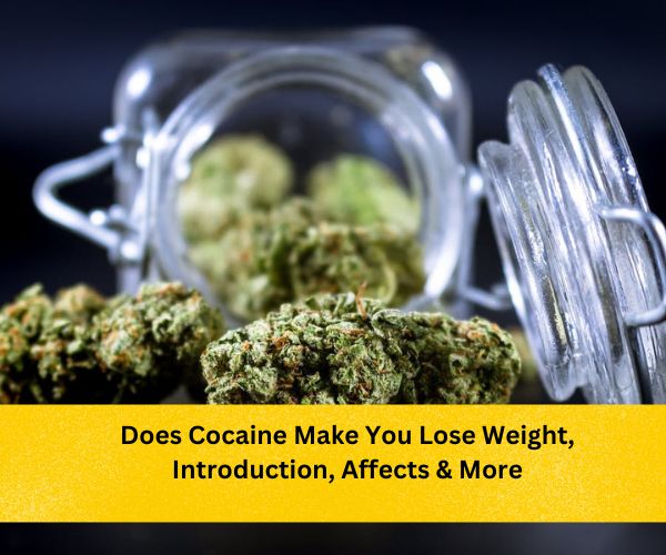 cocaine-lose-weight