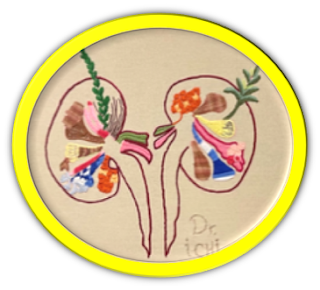 gout in renal transplant patients gout in renal transplantation allopurinol in renal transplant treatment of gout in renal transplant gout post renal transplant gout after renal transplantation gout treatment in kidney transplant patients gout in transplant patients treating gout in kidney transplant recipients is gout related to kidney function gout after kidney transplant