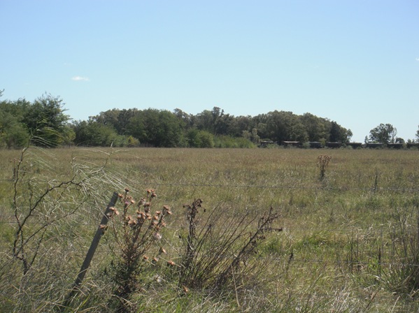 DSCF0542