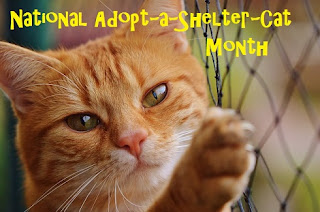 National Adopt-a-Shelter-Cat Month banner