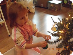 DSCN1707