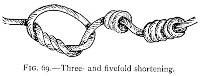 Illustration: FIG. 69.—Three- and fivefold shortening.