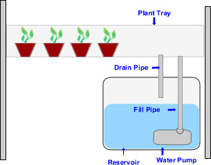 hydroponic garden fertilizer