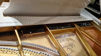 Grand piano strings & dampers