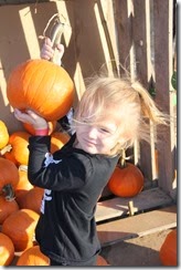 IMG_2825 IMG_2825
