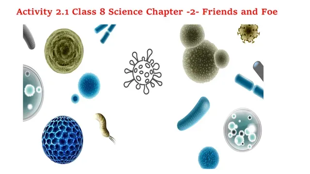 Activity 2.1 Class 8 Science Friends and Foe