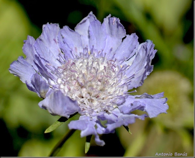 5_DSC7851x1