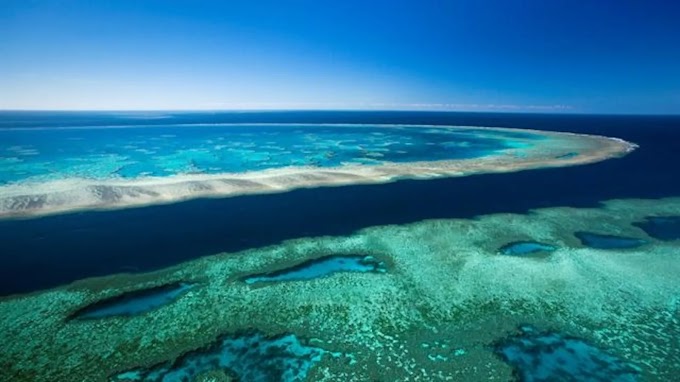 Great Barrier Reef - Australia