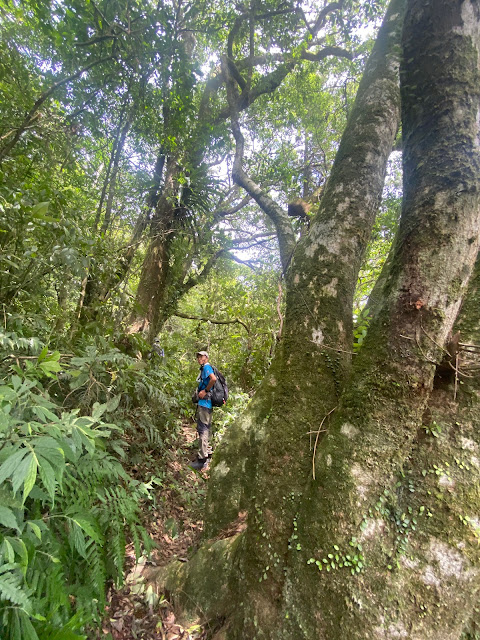 往高腰山