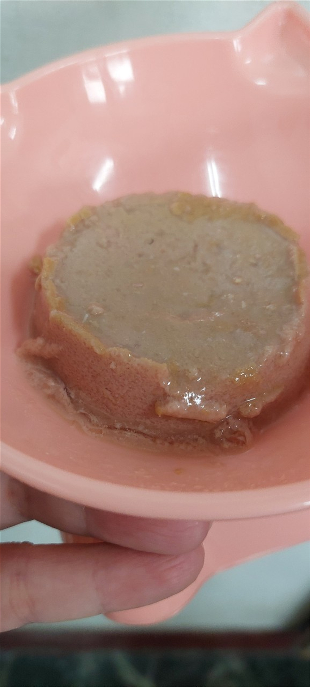 寵物｜ WERUVA唯美味貓咪PATE肉泥主食罐，貓咪主食罐