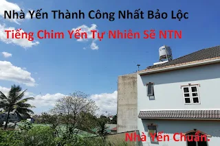 Nhà yến thành công nhất bảo lộc - Yến sào.