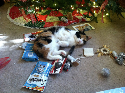 Daisy my cat celebrating Christmas