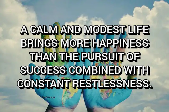 A calm and modest life brings more happiness than the pursuit of success combined with constant restlessness. Albert Einstein