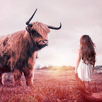A young woman courageously staring down a bull