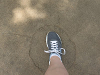 Image of Barbara's tennis shoe inside the much larger impression of a giraffe's hoof.