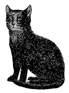 cat black image digital download