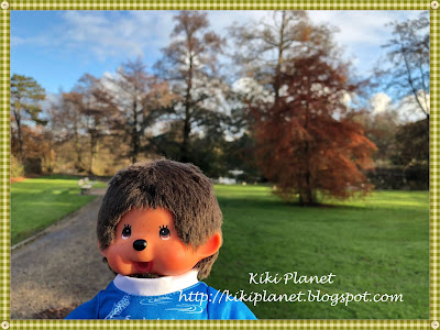 kiki monchhichi rouelles lac normandie le havre canards 