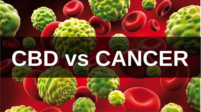 cbd cancer cure