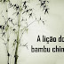 A SABEDORIA DO BAMBU CHINÊS