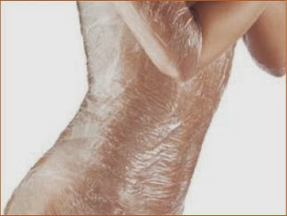 Body Wraps For Weight Loss At Home 