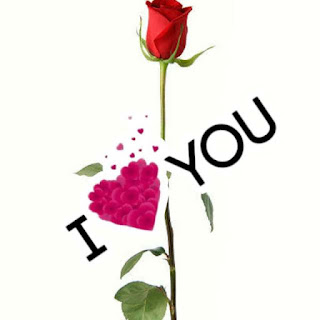 Image of I Love you rose Photo