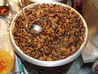 Fried silkworm larvae
