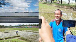 Merugi Akibat Banjir, Petani di Matakali Minta Diperhatikan! Berikut Vidionya