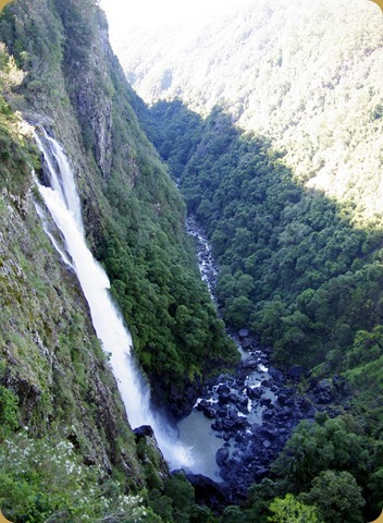 Ellenborough Falls, Elands, NSW