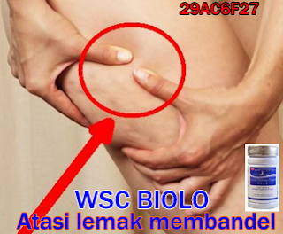 obat pelangsing herbal bermutu tinggi