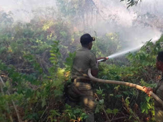 Damkar MTB Padamkan Kebakaran Lahan di Perumahan Lauran