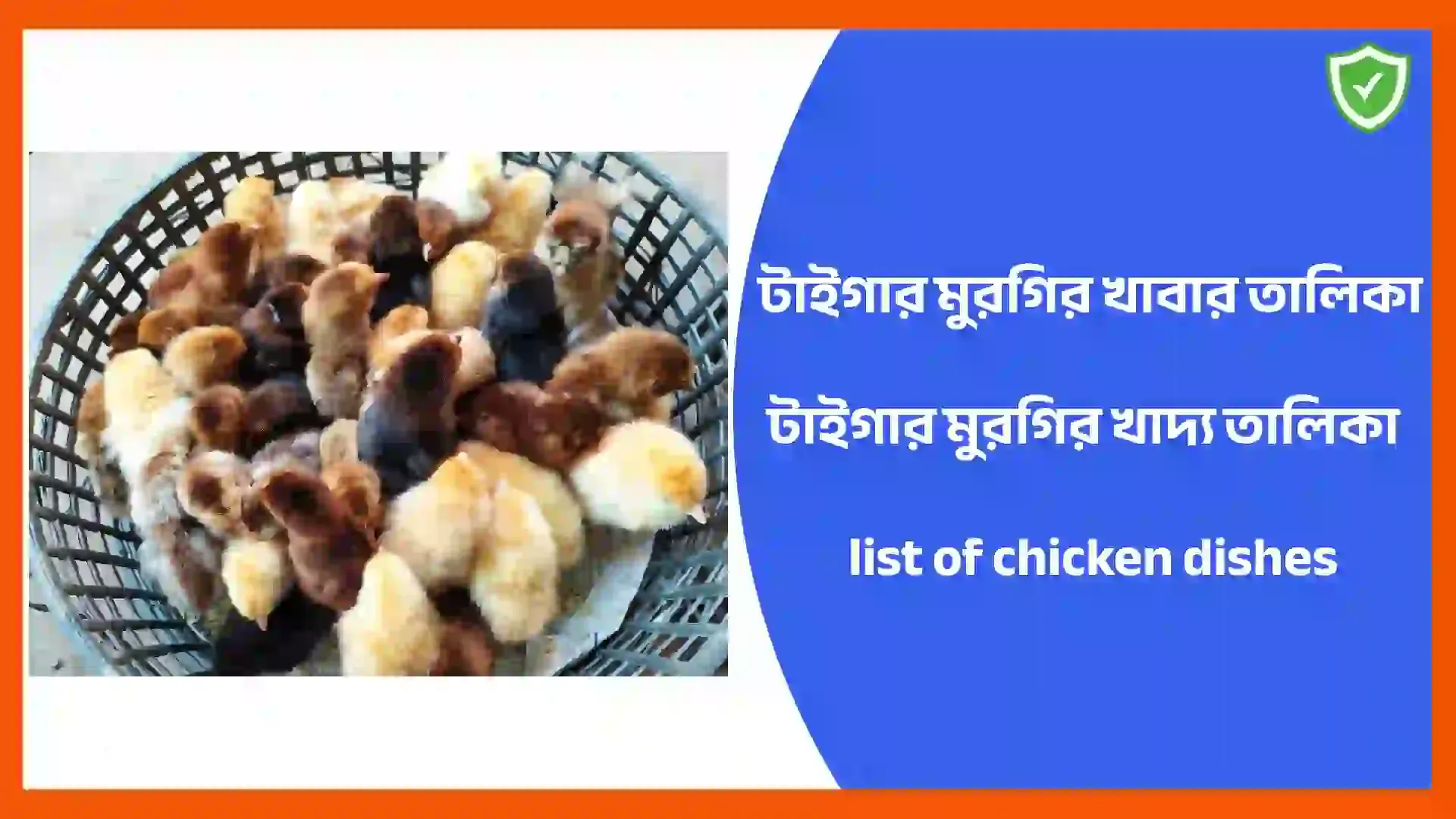 টাইগার মুরগির খাবার তালিকা | টাইগার মুরগির খাদ্য তালিকা | list of chicken dishes